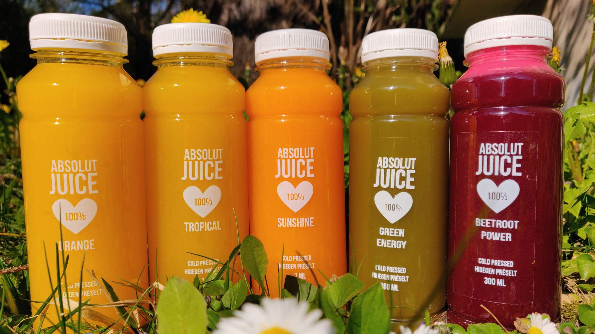 frissen préselt gyümölcslevek