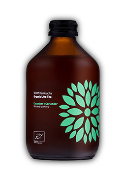 BIO VIGO Cucumber + Coriander kombucha