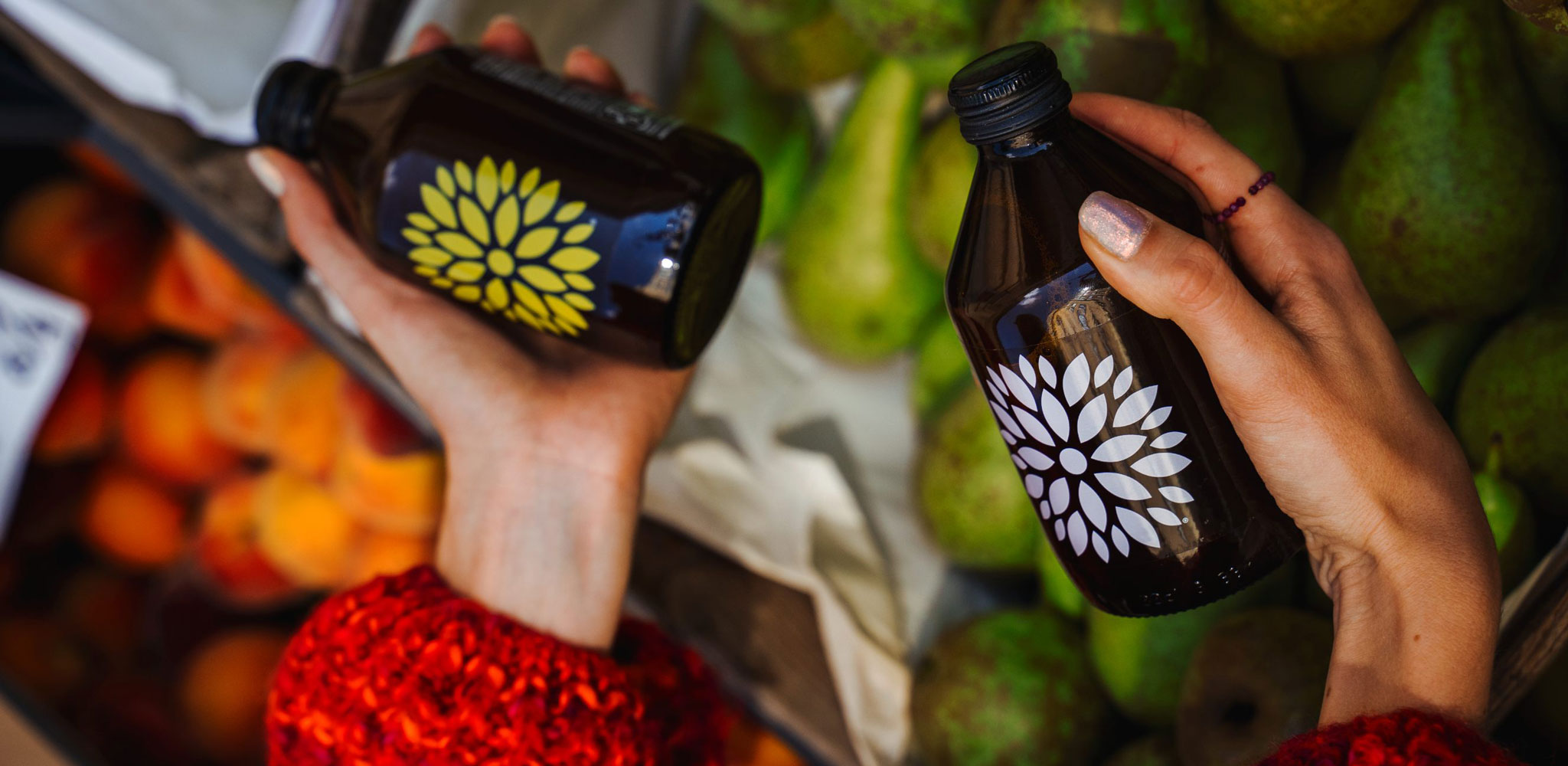 Absolut Juice - Kombucha